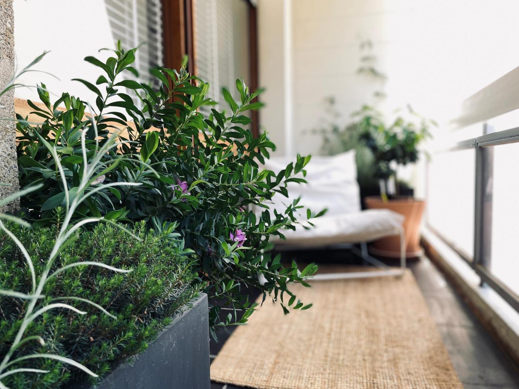 Design 110M2 2Br Terrace & Parking Near Center Leilighet Aix-en-Provence Eksteriør bilde